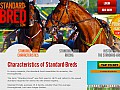 Standard-bred what is a standard-bred standard-bred info standard-bred definition standard-bred information standard-bred facts info about standard-bred standard-bred history standard-bred racing standard-bred betting