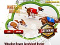 Wheeling downs wheelingdowns wheeling down whealing downs wheeling island whealing island west virginia wheeling downs greyhound racing wheeling downs dog racing wheeling downs greyhoundracing wheeling downs dogracing